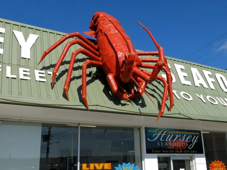 things to do in brisbane — in practice